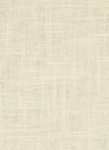 Linen Slub Ivory