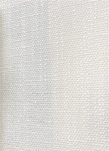 Locomotive 31001 Performance Fabric