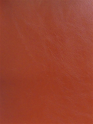 Luke 11606 Faux Leather Barrow Fabric