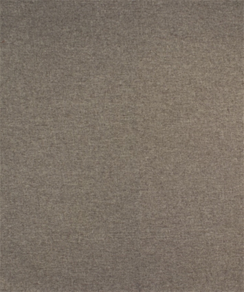 M10063 Fossil 11103