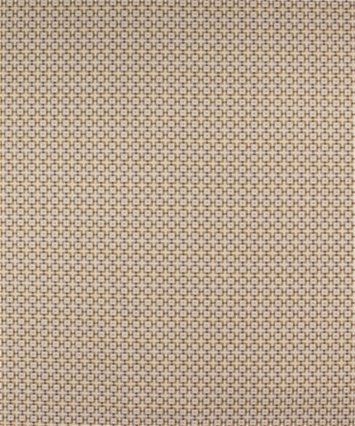 M10109 Buckwheat 21114