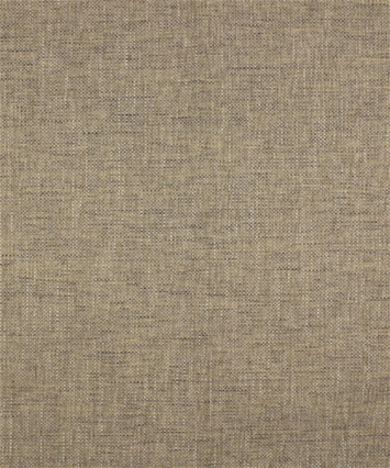 M10174 Birch 12313