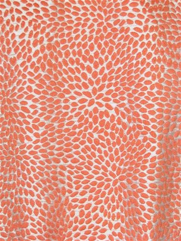 M10279 Coral