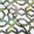 M10621 Cactus Fretwork Jacquard