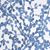 M11181 Sky Botanical Fabric