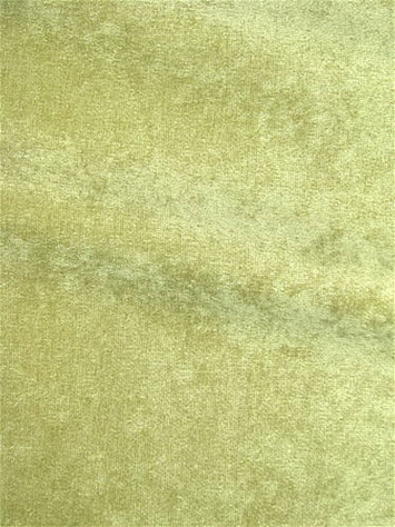 M8913 Spring Velvet