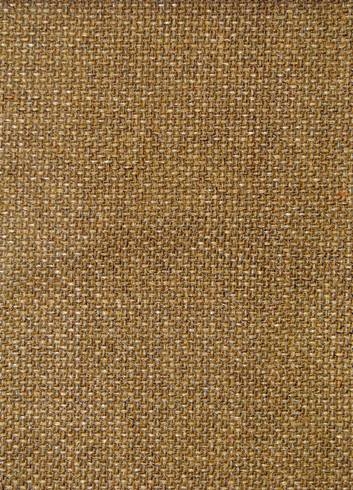 M9269 Thick & Thin Golden