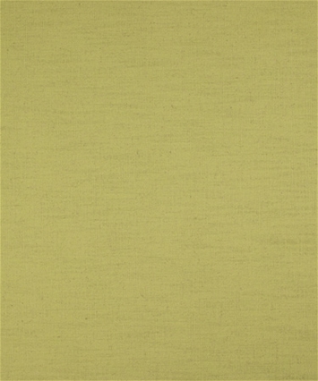 M9872 Kiwi 12101