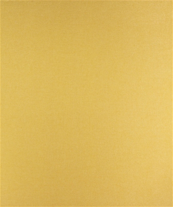 M9582 Golden Rod 41205