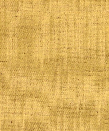 M9872 Daffodil 21203