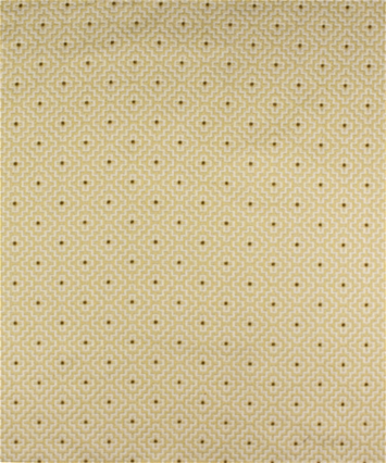 M9902 Maize 21215