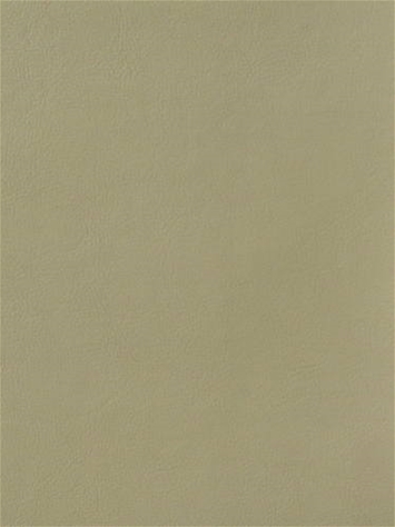 Magic Beige Mitchell Vinyl