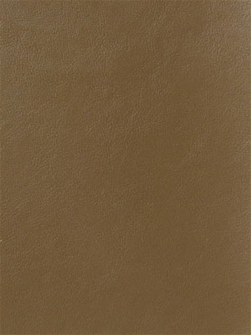 Magic Buckskin Mitchell Vinyl