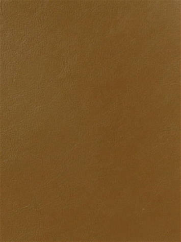 Magic Honey Mitchell Vinyl