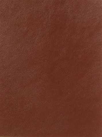 Magic Pecan Mitchell Vinyl