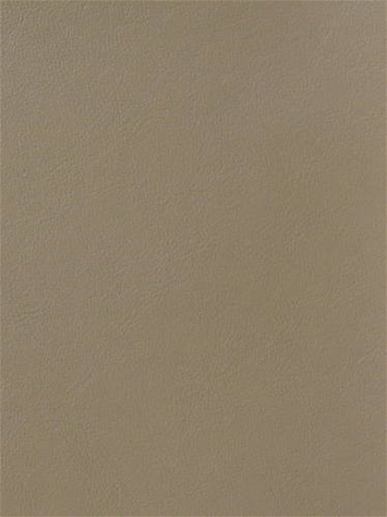 Magic Stone Mitchell Vinyl
