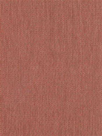 Maxon BK Coral Robert Allen