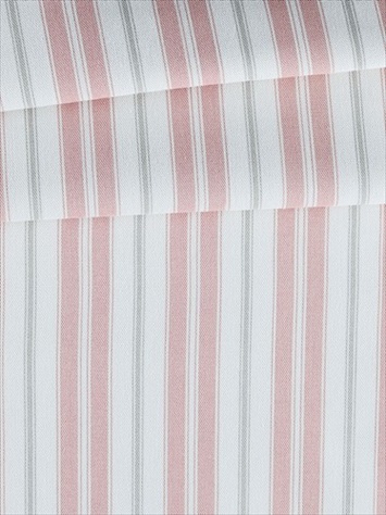 Newbury Blush Magnolia Home Fashions Fabric