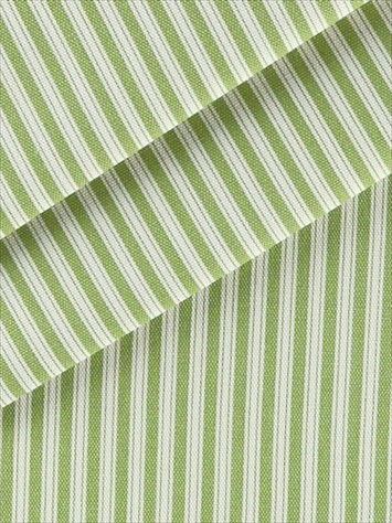 Polo Stripe Jungle Magnolia Home Fashions Fabric