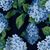 Summerwind Navy Magnolia Home Fashions Fabric