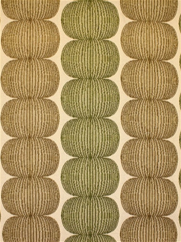 MOORING KIWI