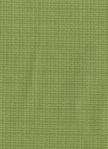 Malabar Kiwi Sunbrella Fabric