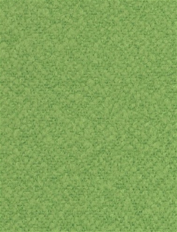 Mercer Parrot P. Kaufmann Boucle