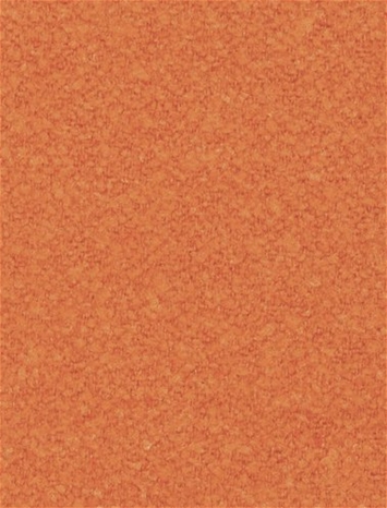 Mercer Tigerlily P. Kaufmann Boucle