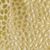 Mosaic Petal Maize