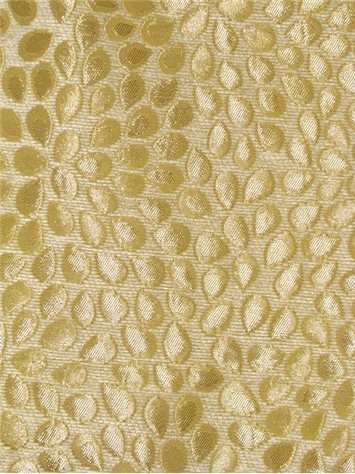 Mosaic Petal Maize