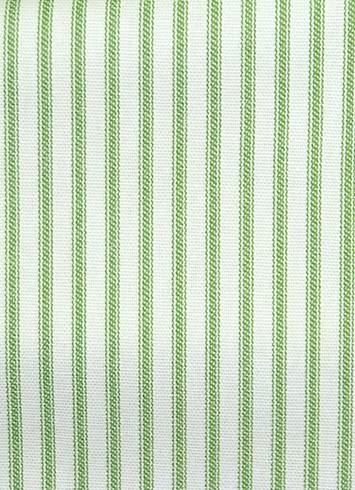 NY Ticking Stripe Apple Green