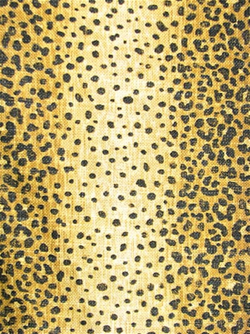 Nala Saffron P. Kaufmann Fabric