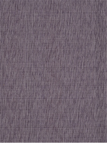 Nevis 47 Plum