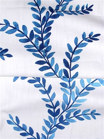 New Prasana Bluebell