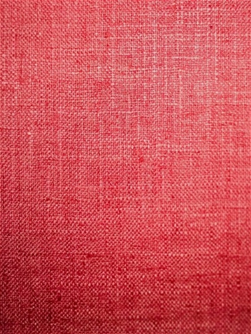 New Speedy Raspberry
