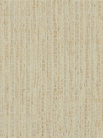 Norwood 120 Champagne
