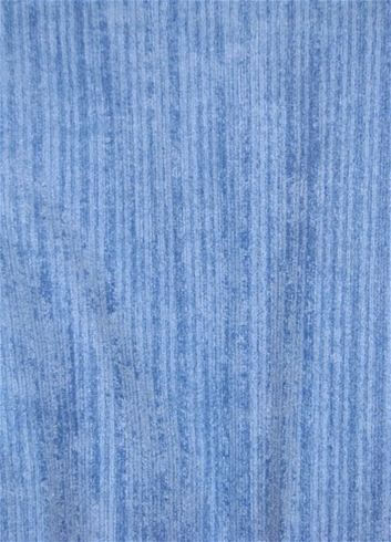 OD Surfside Bluebell