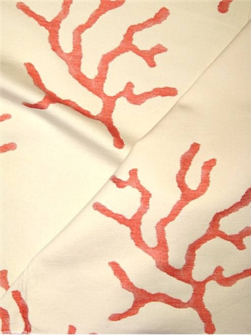 Ocean Reef Coral