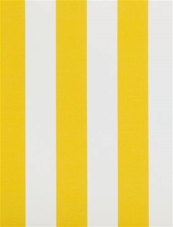 Outdoor Awning 3 Inch Pineapple Stripe 