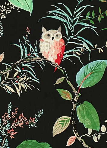 Owlish Black - Kate Spade Fabric