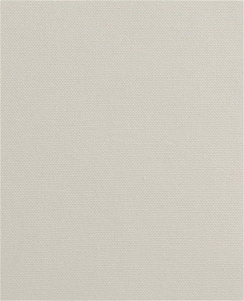 PEBBLETEX 90 Silver Canvas Fabric