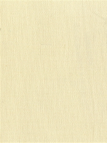 PEBBLETEX 10 OYSTER Canvas Fabric