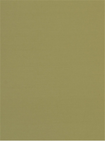 PEBBLETEX 122 KHAKI Canvas Fabric