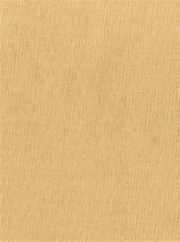 PEBBLETEX 131 PARCHMENT Canvas Fabric