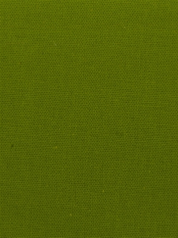 PEBBLETEX 232 PALM Canvas Fabric