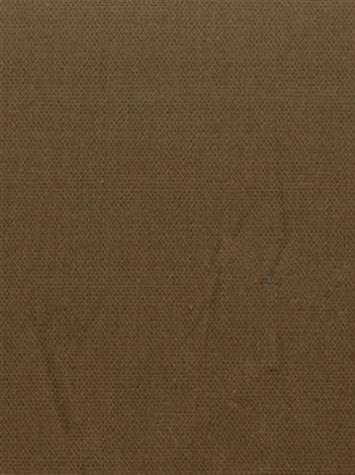 PEBBLETEX 26 CAPER Canvas Fabric