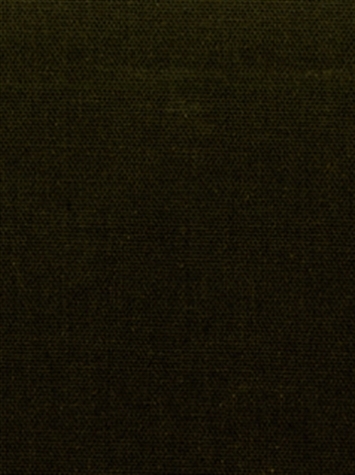 PEBBLETEX 27 MOSS Canvas Fabric