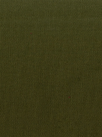 PEBBLETEX 295 BOXWOOD Canvas Fabric