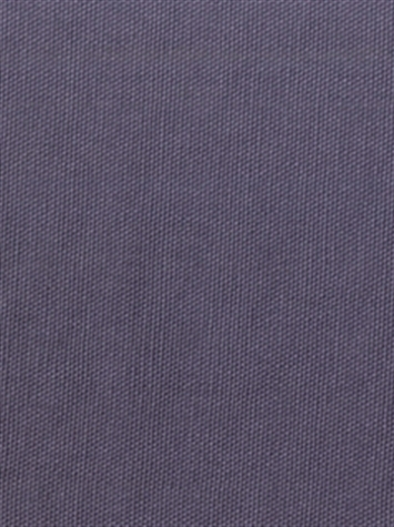PEBBLETEX 47 PLUM Canvas Fabric