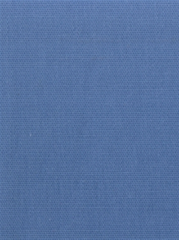 PEBBLETEX 535 PERIWINKLE Canvas Fabric